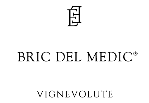 Bric del Medic